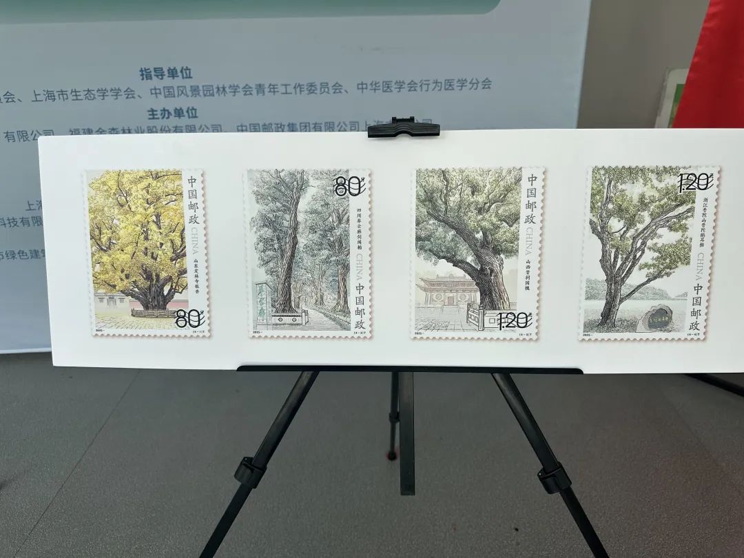 全國生態(tài)日來了！福建金森攜手舉辦上?！吧胶Ｍ铡ば雍糜心恪被顒?dòng)
